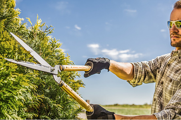 Stihl | Sawing & Cutting | Gardening Tools for sale at Landmark Equipment, Texas