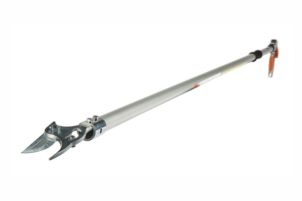 Stihl | Professional Pole Pruners | Model PP 101 Long Reach Pruner for sale at Landmark Equipment, Texas