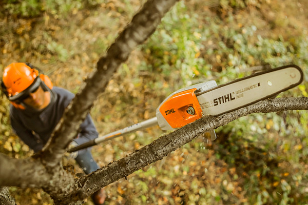Stihl | Sawing & Cutting | Pole Pruners for sale at Landmark Equipment, Texas