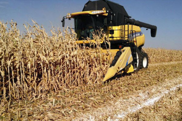 New Holland 99C Chopping Corn Head (PRIOR MODELS) for sale at Landmark Equipment, Texas