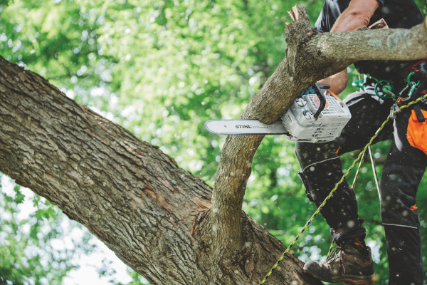 Stihl | ChainSaws | In-Tree Saws for sale at Landmark Equipment, Texas